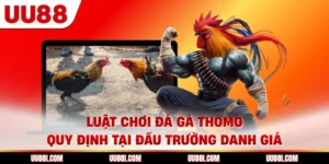 Luật Chơi Đá Gà Thomo - Quy Định Tại Đấu Trường Danh Giá