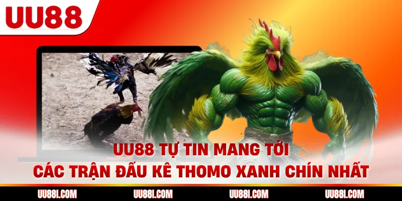 UU88 tự tin mang tới các trận đấu kê Thomo xanh chín nhất